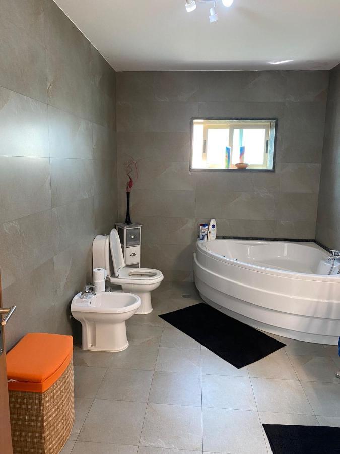 Moderne Villa In Aveiro Portugal ガファーニャ・ダ・ヴァゲイラ エクステリア 写真